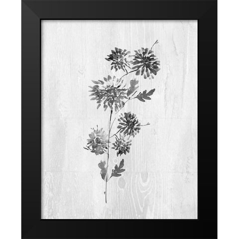 Neutral Meadow II Black Modern Wood Framed Art Print by Knutsen, Conrad