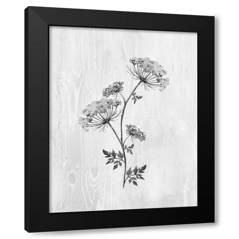 Neutral Meadow III Black Modern Wood Framed Art Print by Knutsen, Conrad