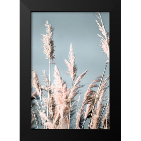 Pretty Pampas I Black Modern Wood Framed Art Print by Bergham, Brent