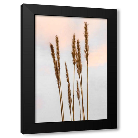 Sunset Pond I Black Modern Wood Framed Art Print with Double Matting by Jones, Adam