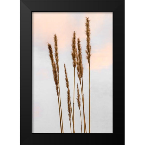 Sunset Pond I Black Modern Wood Framed Art Print by Jones, Adam