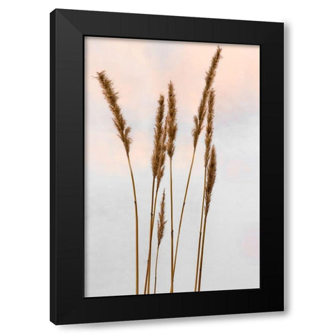 Sunset Pond II Black Modern Wood Framed Art Print by Jones, Adam