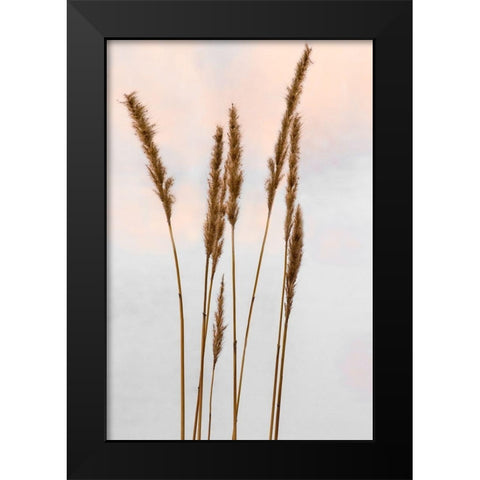 Sunset Pond II Black Modern Wood Framed Art Print by Jones, Adam