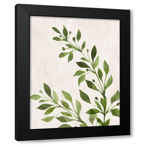 Botanical Wash I Black Modern Wood Framed Art Print with Double Matting by Knutsen, Conrad