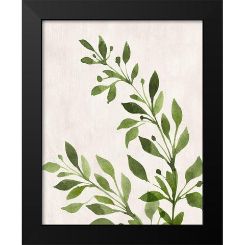Botanical Wash I Black Modern Wood Framed Art Print by Knutsen, Conrad