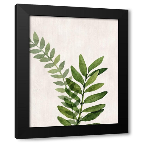 Botanical Wash II Black Modern Wood Framed Art Print with Double Matting by Knutsen, Conrad