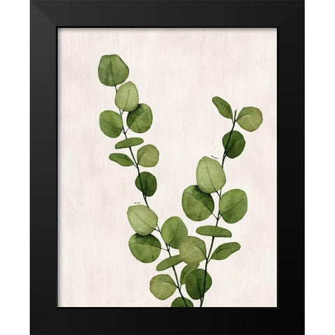 Botanical Wash III Black Modern Wood Framed Art Print by Knutsen, Conrad