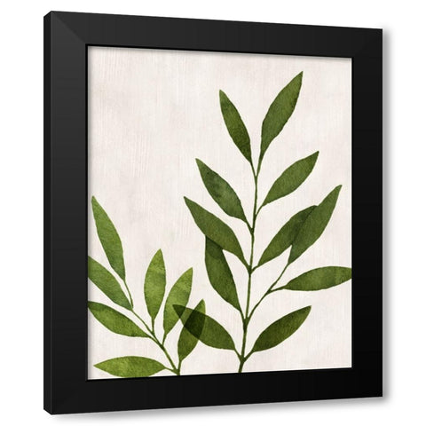 Botanical Wash IV Black Modern Wood Framed Art Print with Double Matting by Knutsen, Conrad