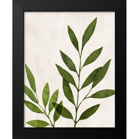 Botanical Wash IV Black Modern Wood Framed Art Print by Knutsen, Conrad