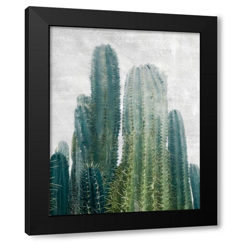 Aruba Cacti Black Modern Wood Framed Art Print with Double Matting by Carpentieri, Natalie