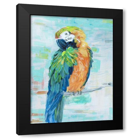 Island Parrot II Black Modern Wood Framed Art Print with Double Matting by Swatland, Sally