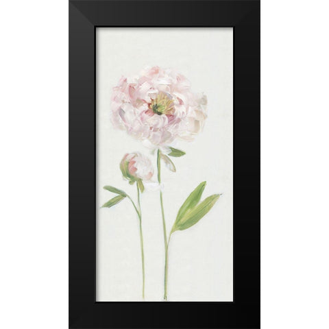 Single Stem Peony I Black Modern Wood Framed Art Print by Swatland, Sally