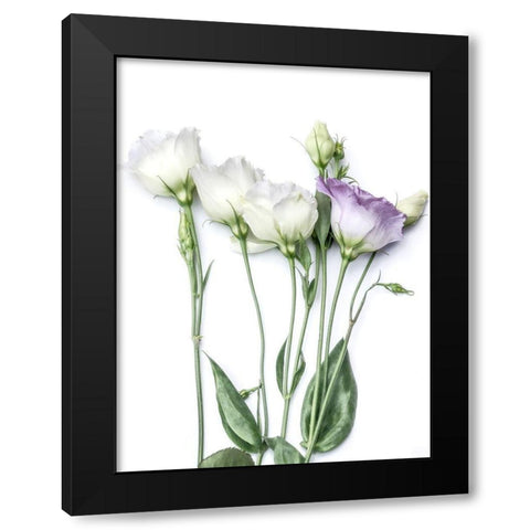 Moderne Jardin I Black Modern Wood Framed Art Print with Double Matting by Weisz, Irene