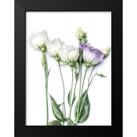 Moderne Jardin I Black Modern Wood Framed Art Print by Weisz, Irene
