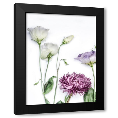 Moderne Jardin II Black Modern Wood Framed Art Print with Double Matting by Weisz, Irene