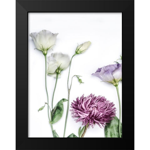 Moderne Jardin II Black Modern Wood Framed Art Print by Weisz, Irene