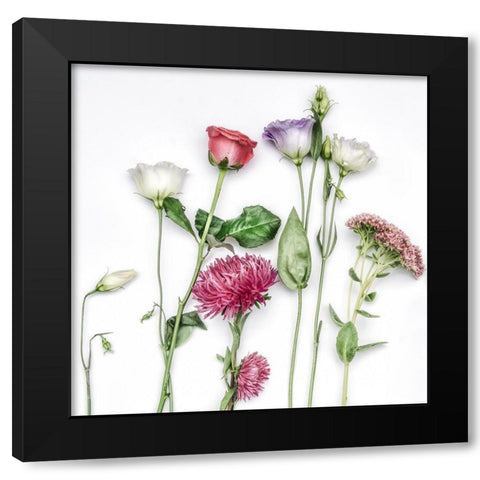 Fleur Moderne I Black Modern Wood Framed Art Print with Double Matting by Weisz, Irene