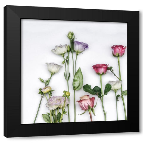 Fleur Moderne II Black Modern Wood Framed Art Print by Weisz, Irene