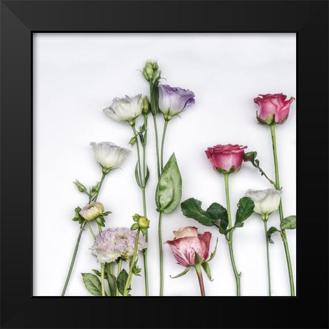 Fleur Moderne II Black Modern Wood Framed Art Print by Weisz, Irene