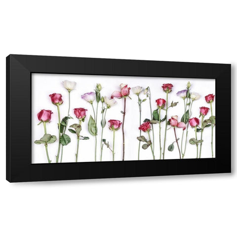 Rouge Moderne Panel Black Modern Wood Framed Art Print with Double Matting by Weisz, Irene