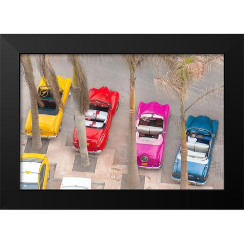 Colorful Classics Black Modern Wood Framed Art Print by Delimont, Danita