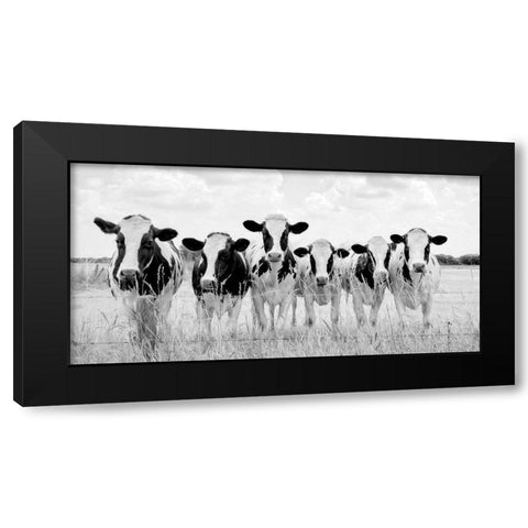 Grazing Pasture Black Modern Wood Framed Art Print with Double Matting by Van de Goor, Lars