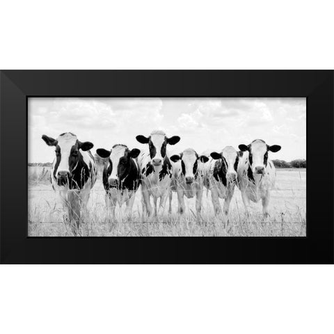 Grazing Pasture Black Modern Wood Framed Art Print by Van de Goor, Lars
