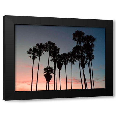Venice Beach Black Modern Wood Framed Art Print with Double Matting by Carpentieri, Natalie