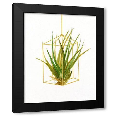 Hanging Airplant II Black Modern Wood Framed Art Print with Double Matting by Nan