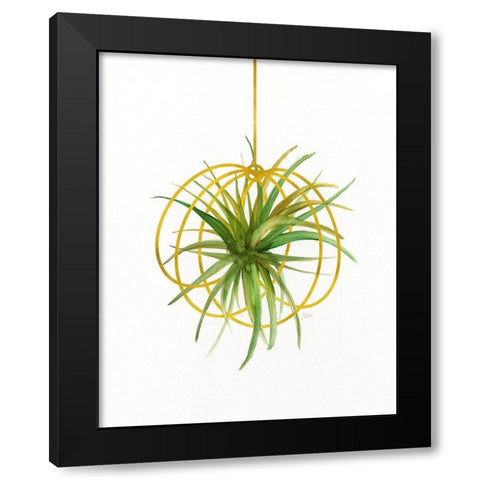 Hanging Airplant III Black Modern Wood Framed Art Print with Double Matting by Nan