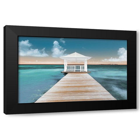 Nassau Point Black Modern Wood Framed Art Print by Adams, Peter
