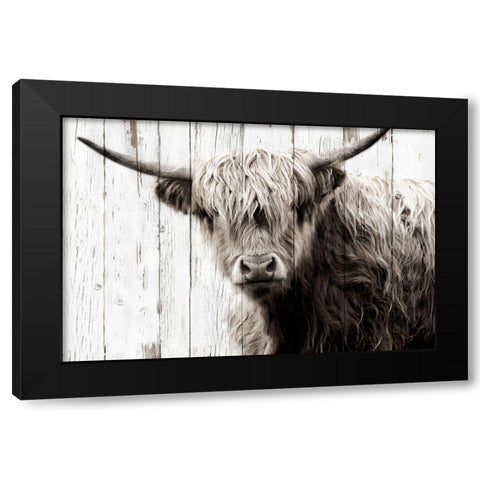 Highland Prize Black Modern Wood Framed Art Print with Double Matting by Sturdevant, Jay