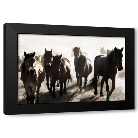 Westward Bound Black Modern Wood Framed Art Print with Double Matting by Delimont, Danita
