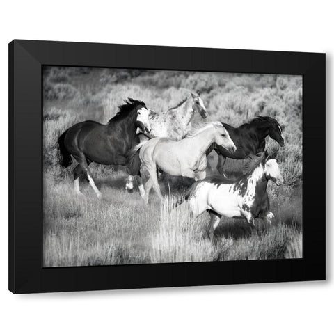 Prairie Run Black Modern Wood Framed Art Print by Jaynes, William D.