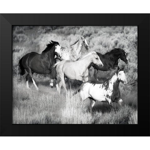 Prairie Run Black Modern Wood Framed Art Print by Jaynes, William D.
