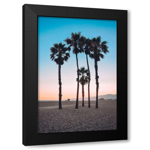 Santa Monica Palm Black Modern Wood Framed Art Print with Double Matting by Carpentieri, Natalie