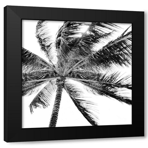 Tropic Breeze Black Modern Wood Framed Art Print by Carpentieri, Natalie