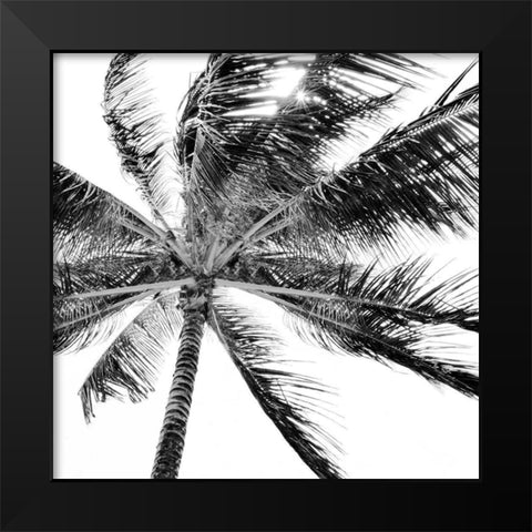 Tropic Breeze Black Modern Wood Framed Art Print by Carpentieri, Natalie