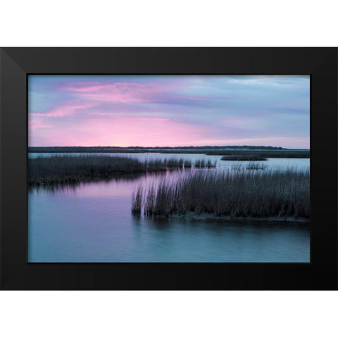 Espiritu Santo Black Modern Wood Framed Art Print by Pryor-Luzier, Maresa