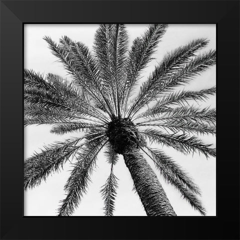 Skyward Palm Black Modern Wood Framed Art Print by Pease, Susan