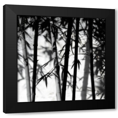 Bamboo Shadows Black Modern Wood Framed Art Print by Delimont, Danita