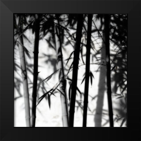 Bamboo Shadows Black Modern Wood Framed Art Print by Delimont, Danita