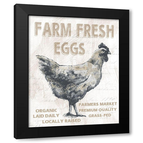 Farm Fresh Chicken Black Modern Wood Framed Art Print with Double Matting by Knutsen, Conrad