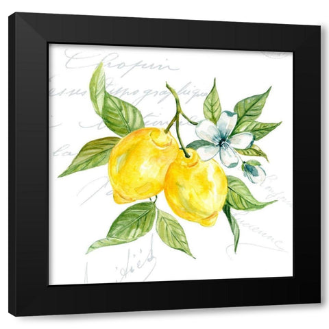 Lemon Squeeze I Black Modern Wood Framed Art Print by Robinson, Carol