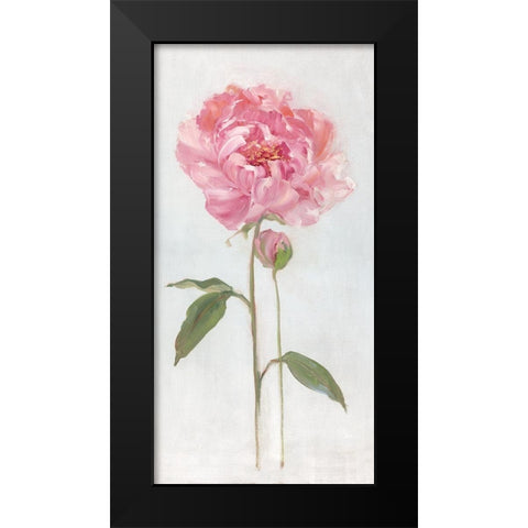 Peony I Black Modern Wood Framed Art Print by Swatland, Sally