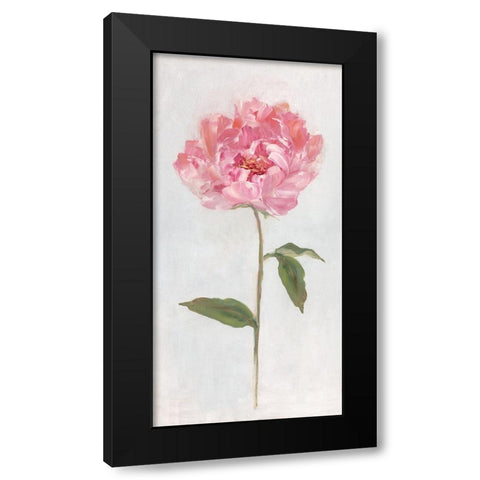 Peony II Black Modern Wood Framed Art Print with Double Matting by Swatland, Sally