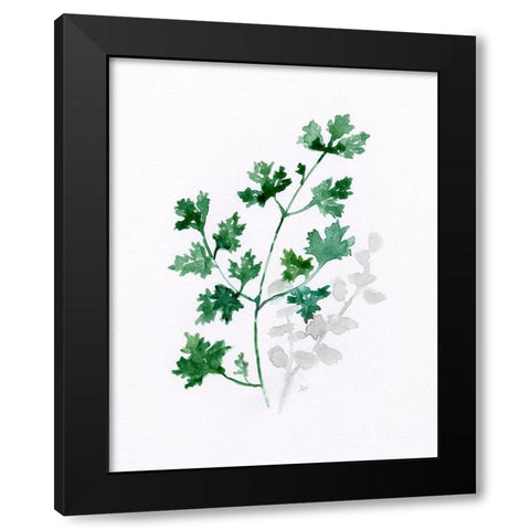 Freshly Picked I Black Modern Wood Framed Art Print with Double Matting by Nan