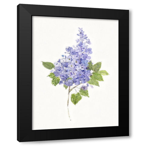 Dainty Botanical Lilac Black Modern Wood Framed Art Print by Swatland, Sally