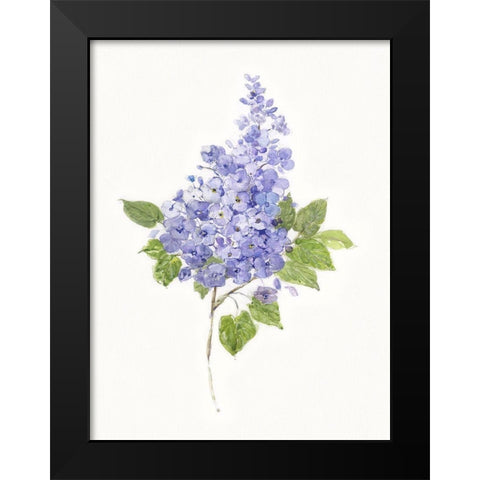 Dainty Botanical Lilac Black Modern Wood Framed Art Print by Swatland, Sally