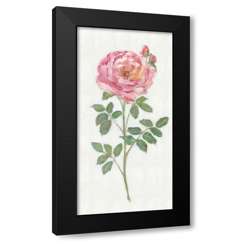 Single Stem I Black Modern Wood Framed Art Print by Swatland, Sally